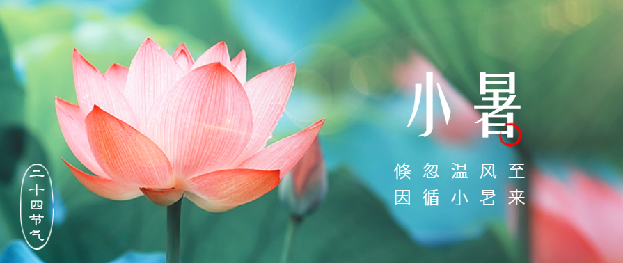 小暑 | 夏天快猫视频污用快猫视频在线观看快猫视频网站更清爽！