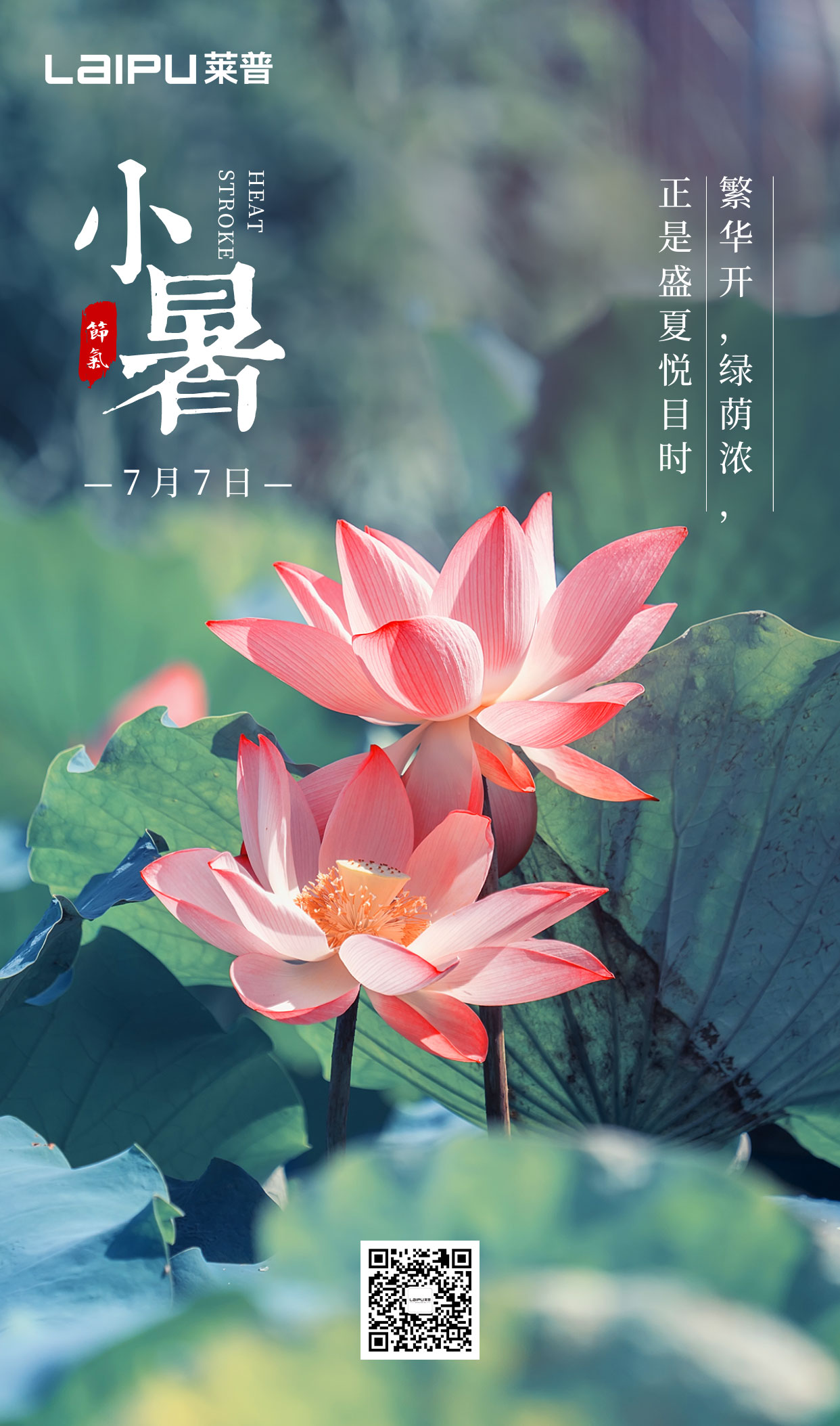 小暑丨小暑清和夏日长，快猫视频污无烟风自凉